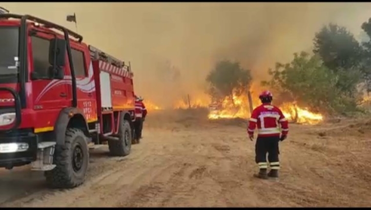 Incêndios: Governo declara Situação de Alerta para o continente a partir das 13:00