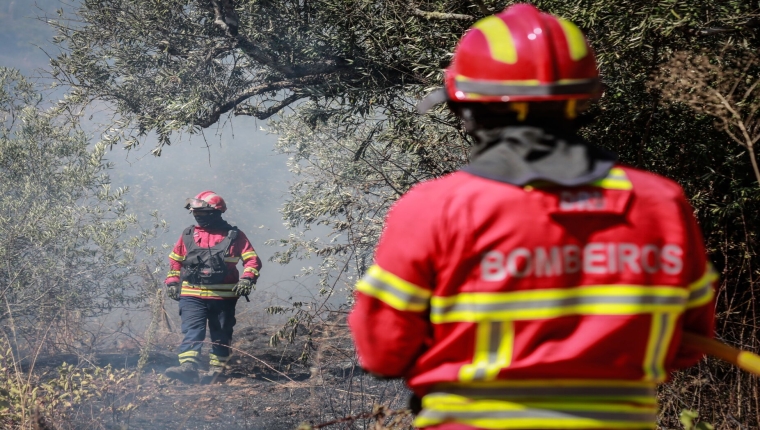 Incêndios: IPMA prevê agravamento do perigo de fogos rurais até quarta-feira