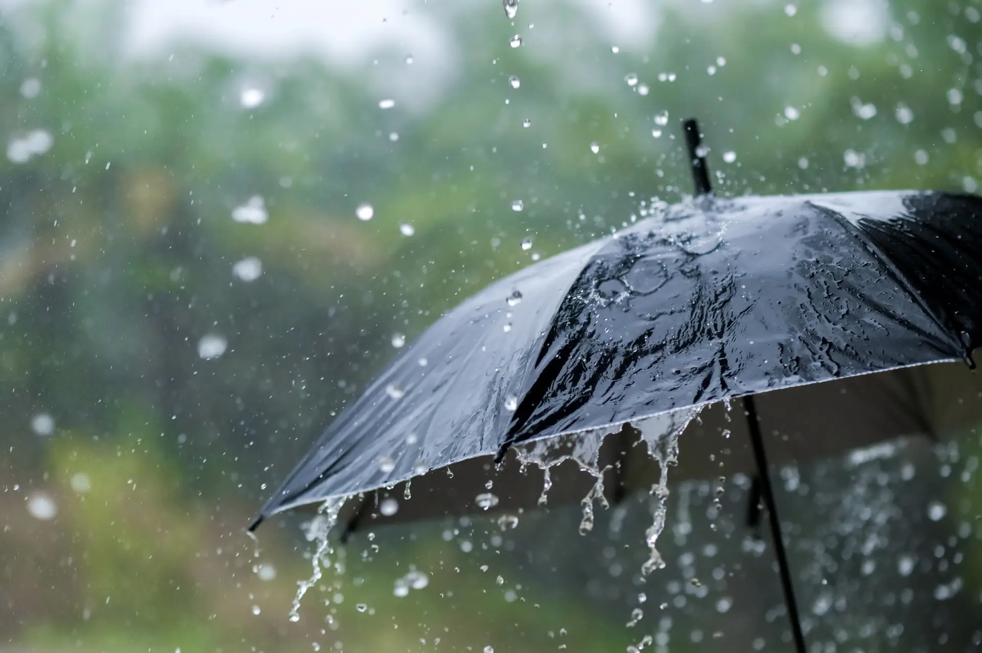 Guarda-chuva preto a ser atingido por chuva intensa, com gotas de água visíveis a cair e a escorrer, ilustrando condições de chuva forte.