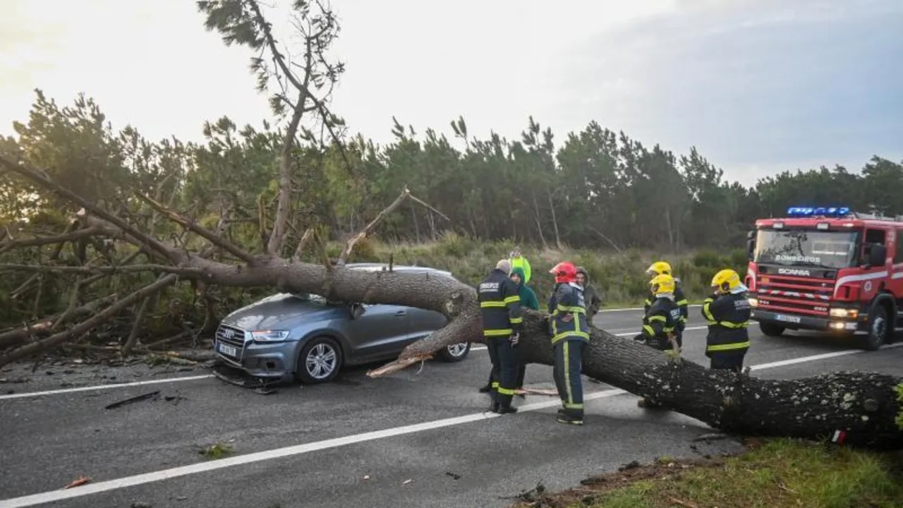 Bombeiros junto a um carro esmagado por uma árvore caída numa estrada, com um veículo de emergência ao fundo, ilustrando os estragos causados pelo mau tempo em Figueiró dos Vinhos.